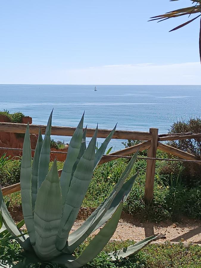 Mar A Vista Algarve Summer Portimão Exterior foto